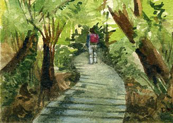 Mait's Rest Rainforest Diane Strobel Cedarburg WI watercolor SOLD